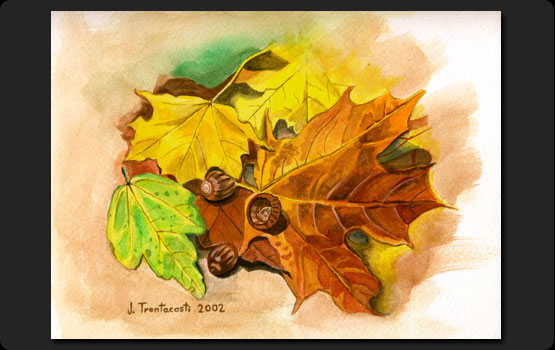 Autumn Leaves