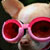 Time Warner - Chihuahua