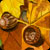 Autumn Leaves