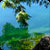 Reflections on Lake Minnewaska